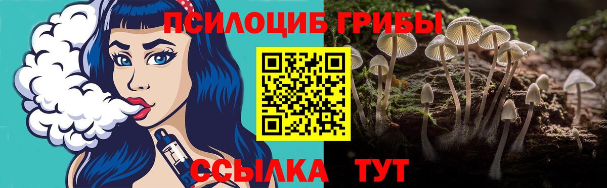 Псилоцибиновые грибы GOLDEN TEACHER  Галлюциногенные грибы Psilocybe  Вход с VPN  Люберцы 